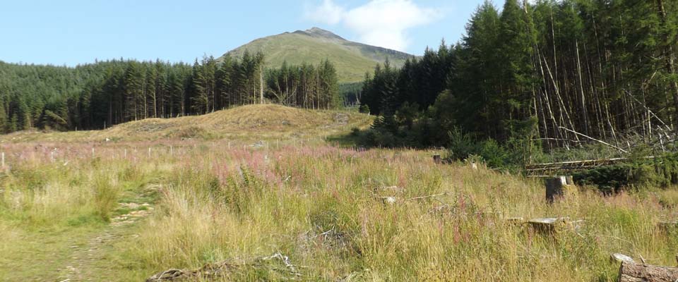 Ben Lui Trail