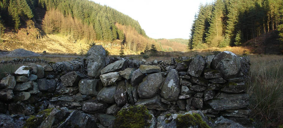 Black Loch stone faces image