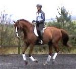 Easterton Equine Activities image