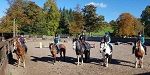 Roundknowe Riding Centre image